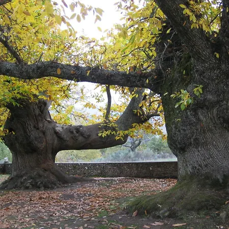 Duplex Sanabria * El Puente (Castile and Leon)