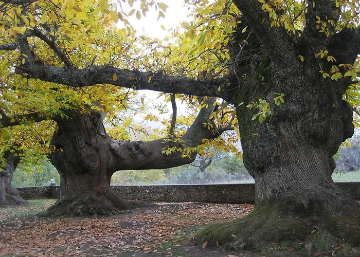 Duplex Sanabria * El Puente (Castile and Leon)