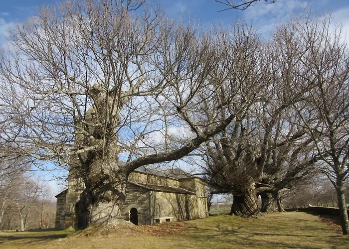 아파트 Duplex Sanabria